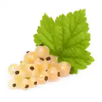 смородина1