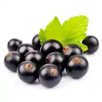 смородина5